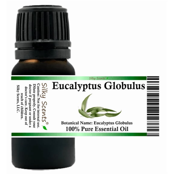 Eucalyptus Globulus Essential Oil 5 ml (1/6 fl oz) - 100% Pure and Natural by Silky Scents