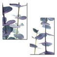 thumbnail image 1 of Eucalyptus | Gorgeous Purple and Teal Eucalyptus Branch Photograph Print; Two 11x14 Poster Prints, 1 of 1