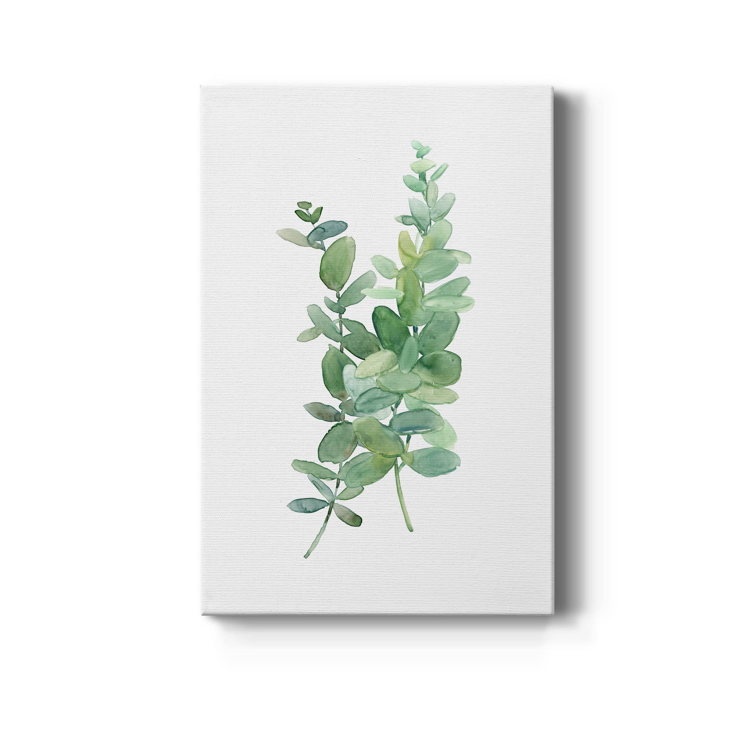 Eucalyptus I Premium Gallery Wrapped Canvas - Ready to Hang - 12 x 18