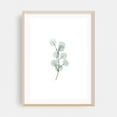 thumbnail image 1 of Eucalyptus Leaf - Painting Botanical Minimalist Floral Nature Line Art Pastel Modern Art Oak Framed Wall Art Print 12 x 18 inches, 1 of 15