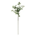 thumbnail image 1 of Eucalyptus Leaves Stems Artificial Seeded Eucalyptus Leaves Branches Small Grey Green Stems for Vase Bouquet Wreath Floral Arrangement Wedding Season, 1 of 7