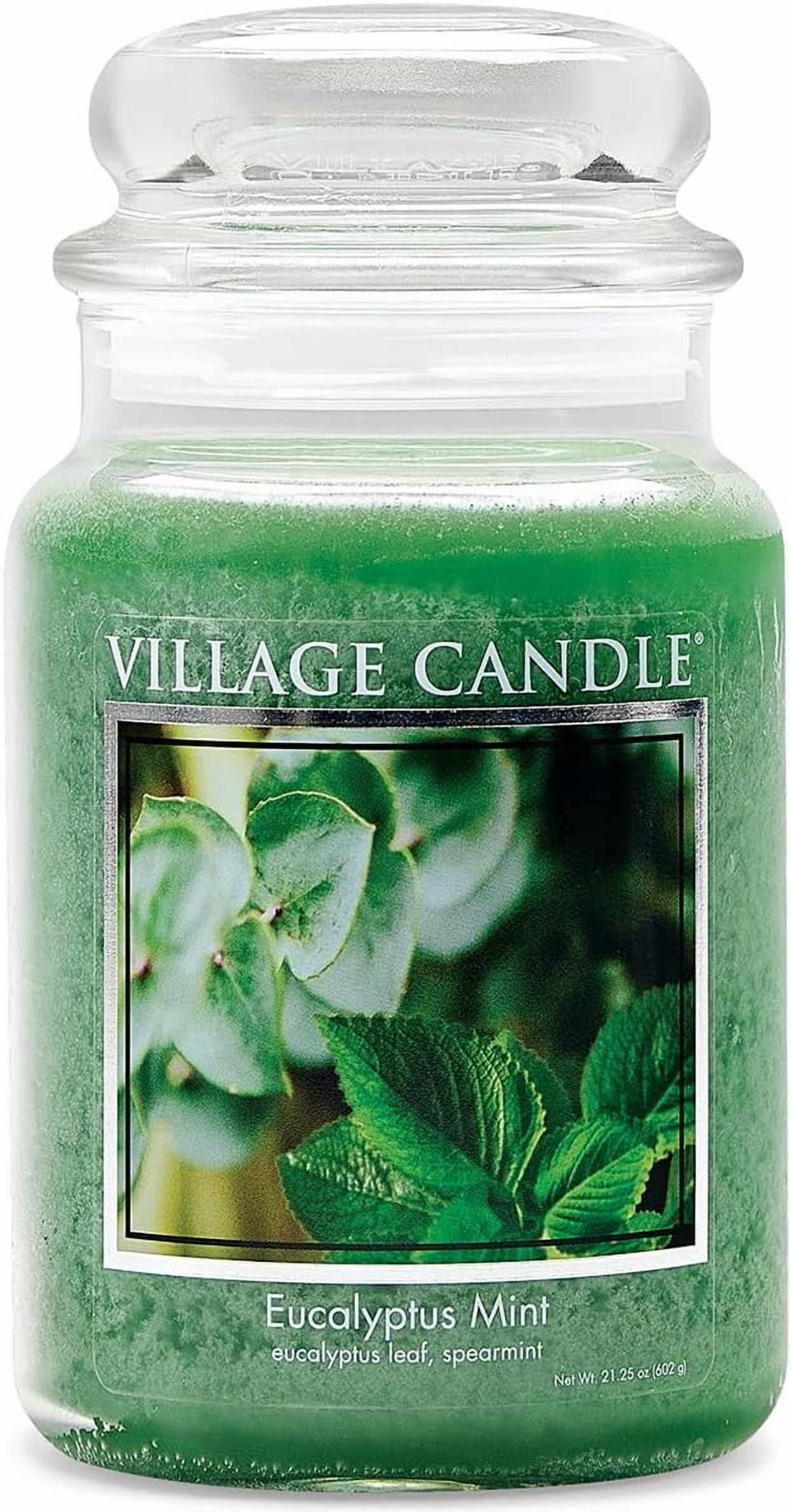 Eucalyptus Mint Large Glass Apothecary Jar Scented Candle, 21.25 oz, Green
