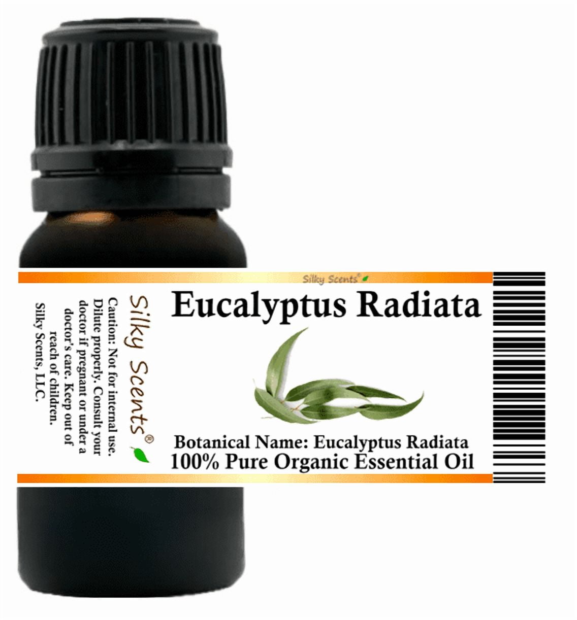Eucalyptus Radiata Organic Essential Oil 10 ml (1/3 fl oz) - 100% Pure and Natural by Silky Scents