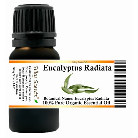 Eucalyptus Radiata Organic Essential Oil 15 ml (1/2 fl oz) - 100% Pure and Natural by Silky Scents