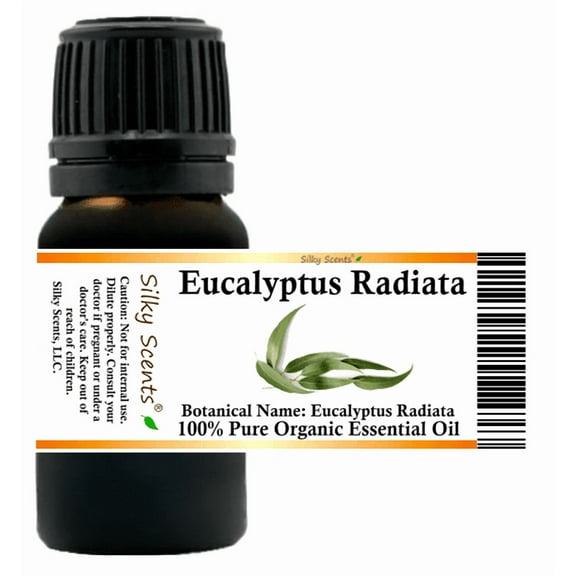 Eucalyptus Radiata Organic Essential Oil 5 ml (1/6 fl oz) - 100% Pure and Natural by Silky Scents