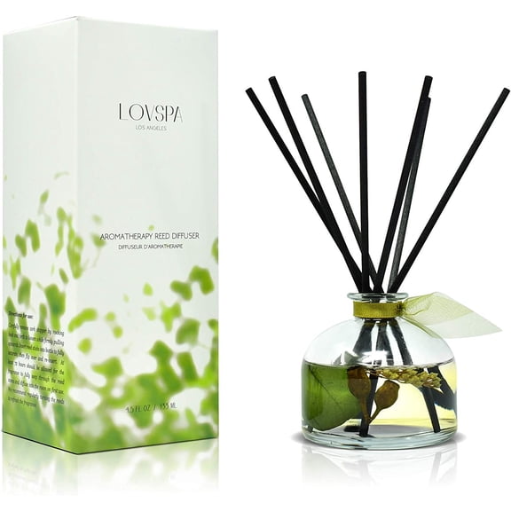 Eucalyptus Reed Diffuser Set for Home, Revive Fresh Eucalyptus, , Citrus & Mint Scent Diffuser with Sticks for Bathroom Shelf Decor Accessories, Top Aromatherapy Gift for Women