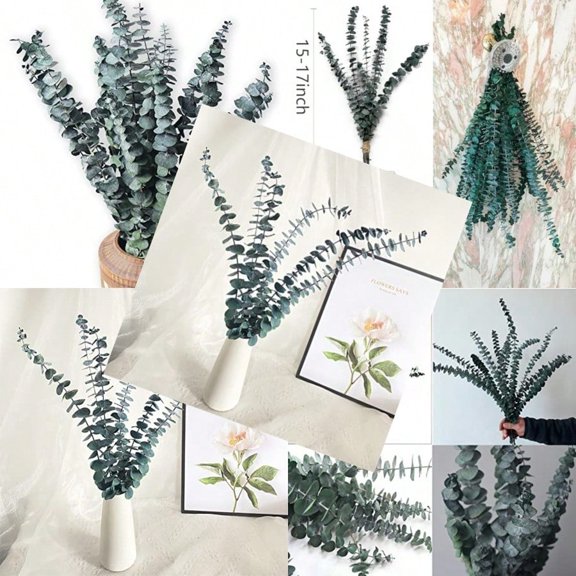 Eucalyptus for Shower 10 Pcs Hanging Dried Eucalyptu Stems 17" Real Eucalyptus Bundle 100% Made from Fresh Eucalyptu Wedding Decor Home Decor Farmhouse Room Decor DIY Artificial Plants Flowers