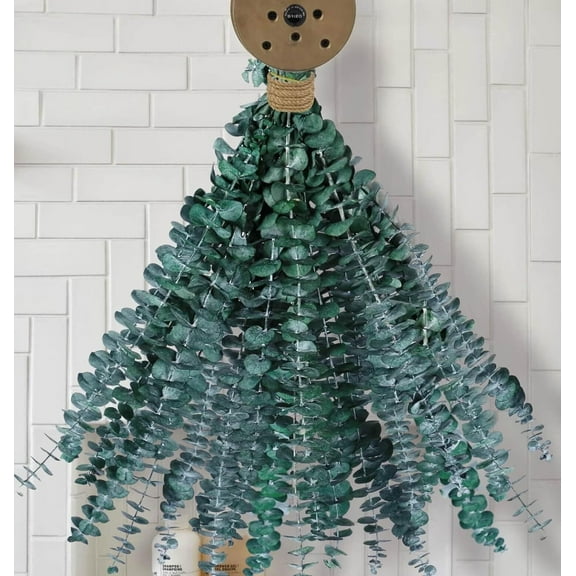 Eucalyptus for Shower 30 Pcs Hanging Dried Eucalyptus Stems 17" Real Eucalyptus Bundle 100% Natural Fresh Real Eucalyptus Plant for Wedding Decor Home Decor Farmhouse Room Decor DIY Spring Decor
