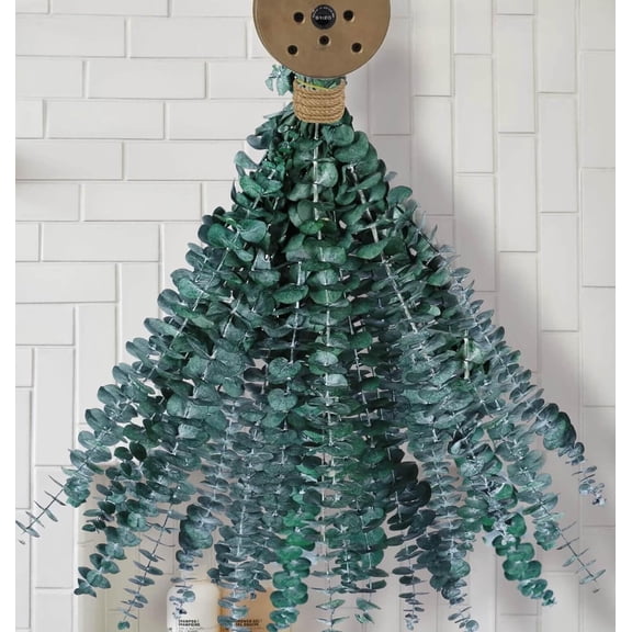 Eucalyptus for Shower 30 Pcs Hanging Dried Eucalyptus Stems 17" Real Eucalyptus Bundle 100% Natural Fresh Real Eucalyptus Plant for Wedding Decor Home Decor Farmhouse Room Decor DIY Spring Decor