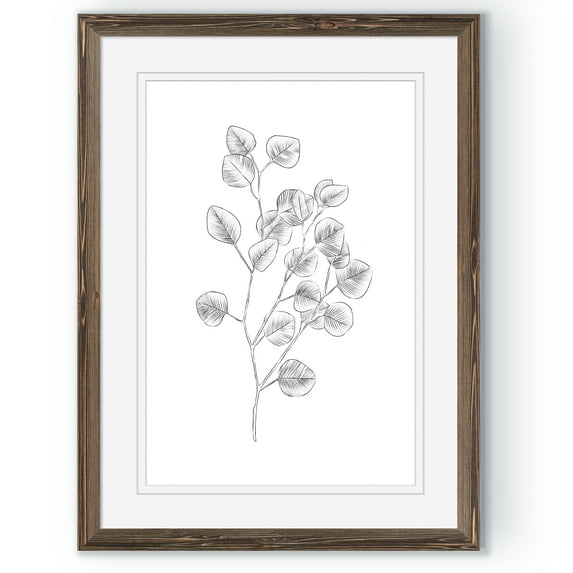 Eucalyptus Sketch III - Barnwood Framed - 18 x 24 - Walnut