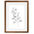 thumbnail image 1 of Eucalyptus Sketch IV - Barnwood Framed - 18 x 24 - Maple, 1 of 4