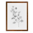 thumbnail image 1 of Wexford Home Eucalyptus Sketch IV-Framed - Maple - 16X22, 1 of 4