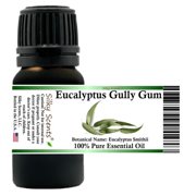 Eucalyptus Gully Gum (Eucalyptus Smithii) Essential Oil