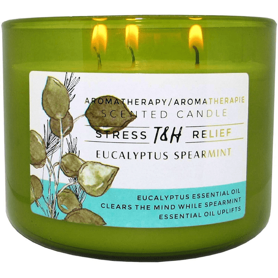 Eucalyptus Spearmint Aromatherapy Candle 3 Wick Large Soy Scented Candles for Men and Women 15.8 Oz