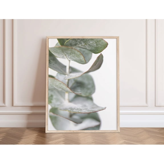Eucalyptus Wall Art, Australian Botanical Wall Art, Australian Native Photo Print, Poster, Gum Leaf Print Home Decor #41, Stretched Canvas Size 16x24