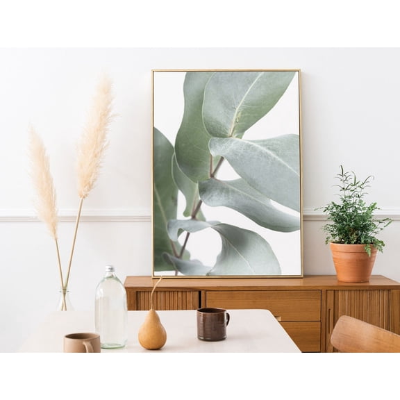 Eucalyptus Wall Art, Australian Botanical Wall Art, Australian Native Photo Print, Poster, Gum Leaf Print Home Decor #42, Stretched Canvas Size 12x18