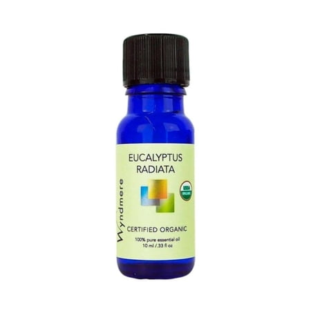 Eucalyptus radiata  ~ Certified Organic