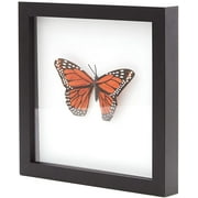 Eucatus 8"x8" Black Wood Shadow Box for DIY Display, 1 Pack
