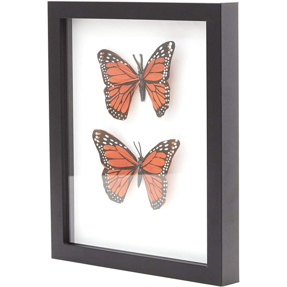 Eucatus 8x10" Rectangle Black Wooden Shadow Box Display Frames, 1 Pack