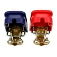 Eudgs 1 Pair Car Battery Terminal Kit, 12V Negative Positive Battery