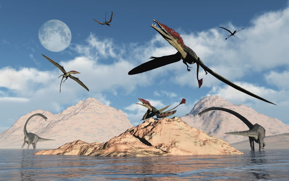 Eudimorphodons from the Triassic Period of Earth Canvas Art - Mark StevensonStocktrek Images (18 x 12)