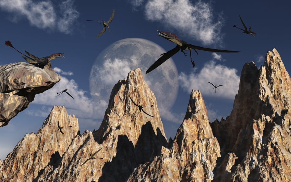 Eudimorphodons of the late Triassic period Canvas Art - Mark StevensonStocktrek Images (18 x 12)