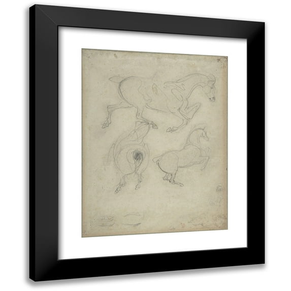Eugène Delacroix 15x18 Black Modern Framed Museum Art Print Titled - Studies of Horses
