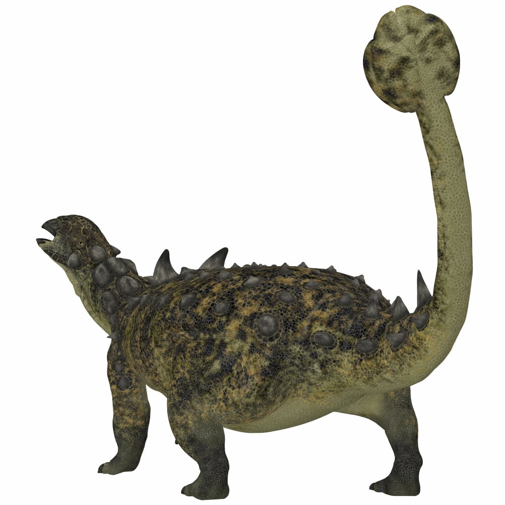 Euoplocephalus armored dinosaur from the Cretaceous Period Canvas Art - Corey FordStocktrek Images (29 x 29)
