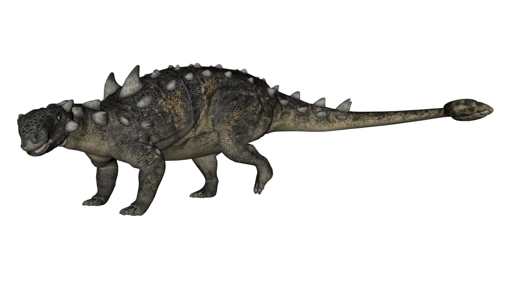 Euoplocephalus dinosaur Canvas Art - Elena DuvernayStocktrek Images (19 x 11)