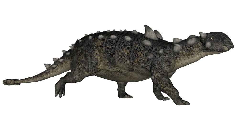 Euoplocephalus dinosaur Canvas Art - Elena DuvernayStocktrek Images (38 x 22)
