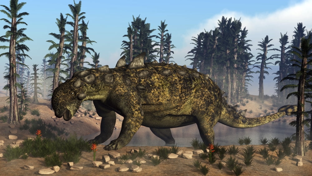Euoplocephalus dinosaur grazing on vegetation Canvas Art - Elena DuvernayStocktrek Images (37 x 21)