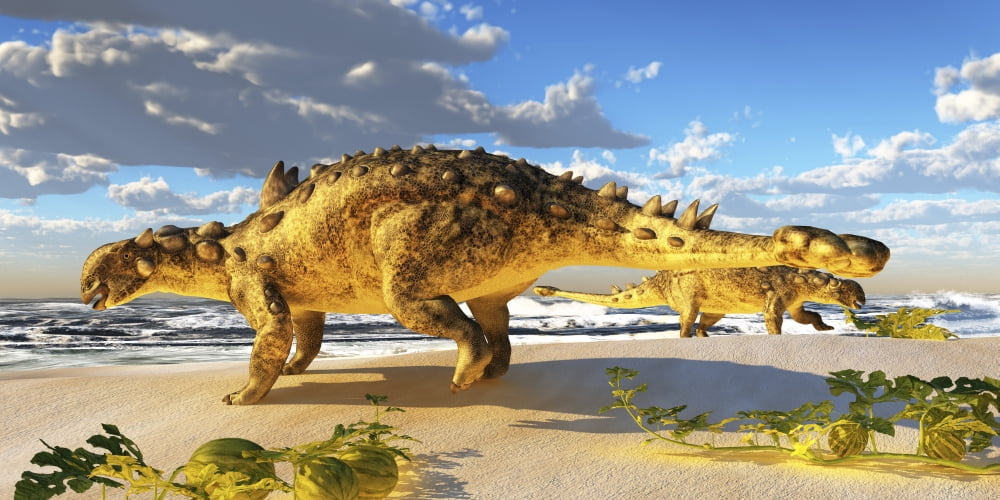 Euoplocephalus dinosaurs munch on melons on an ocean beach Canvas Art - Corey FordStocktrek Images (20 x 10)
