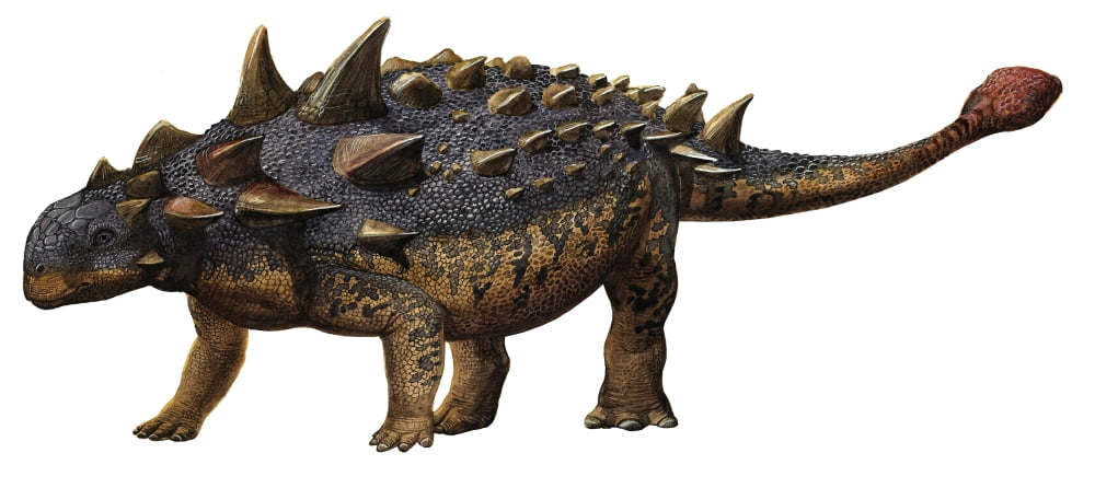 Euoplocephalus tutus a prehistoric era dinosaur Canvas Art - Sergey KrasovskiyStocktrek Images (21 x 10)