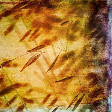 "Euphony II" Painting Print on Wrapped Canvas