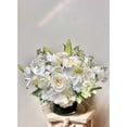 thumbnail image 1 of Euphoria Flowers Euphoria Cloud, 1 of 2