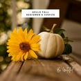 thumbnail image 1 of Euphoria Flowers Hello Fall Designer's Choice, 1 of 2