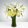 thumbnail image 1 of Euphoria Flowers Sincere Thoughts, 1 of 2
