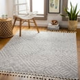 thumbnail image 1 of Euphoria Medium Gray 7'10" x 10' Global Rectangle Area Rug, 1 of 6