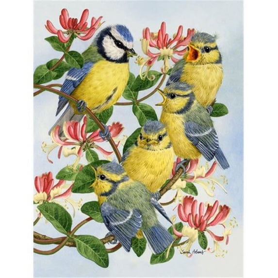 Eurasian Blue Tits At Feeding Time Flag Garden Size