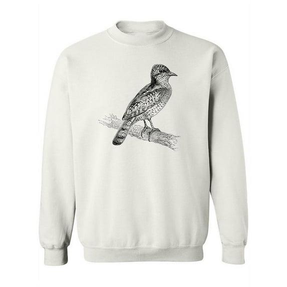 Eurasian Wryneck Sketch Sweatshirt Women -Image by Shutterstock, Female Small