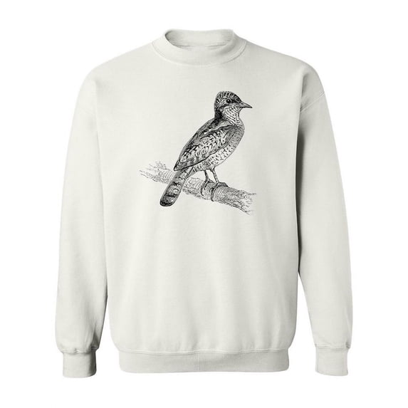 Eurasian Wryneck Sketch Sweatshirt Women -Image by Shutterstock, Female x-Large