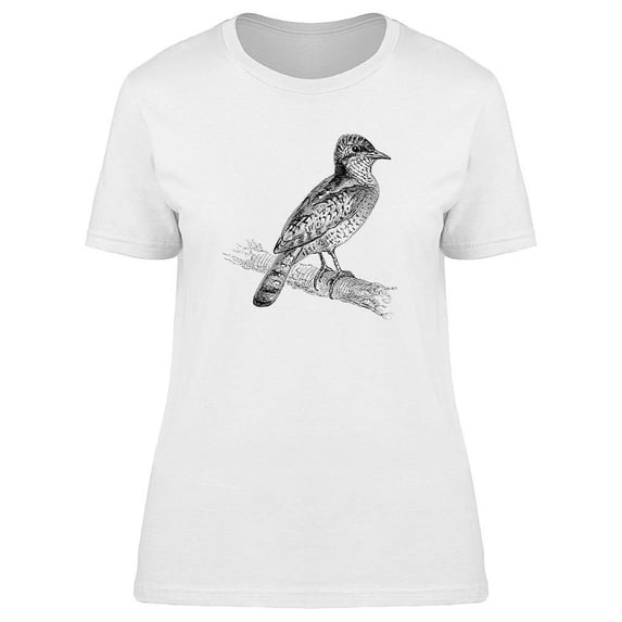 Eurasian Wryneck T-Shirt Women -Image by Shutterstock, Female Large