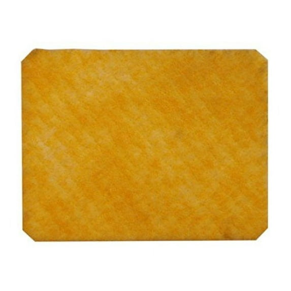 Eureka Micron Exhaust Filter for Eureka Victory Vacuum 4400 (Aftermarket)