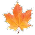 thumbnail image 1 of Eureka Photo Leaf Paper Cut-Outs (EU 841222), 1 of 2