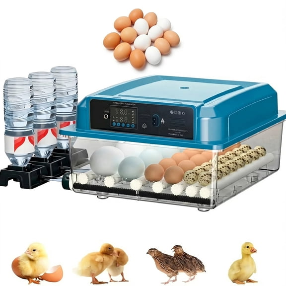 Eurhowing Automatic Egg Incubator 36 Eggs, Brooder Hatching Machine with Auto Turner, Candler & Digital Humidity Control, Poultry Hatcher for Chicken Duck Quail