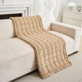 thumbnail image 1 of Eurhowing Pet Couch Cover for Dog, Non-Slip Sofa Slipcover Mat, Fuzzy Pet Friendly Washable Furniture Protector, Coffee 28"×71", 1 of 9