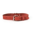 thumbnail image 1 of Euro-Dog Affordable European Luxury Soft Leather Adjustable Buckle Dog Collar Made in USA, 1 of 9