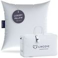 thumbnail image 1 of Euro Down Pillow - 625 Fill Power, 500 Thread Count - 100% Cotton Shell, 26"x26", 1 of 11