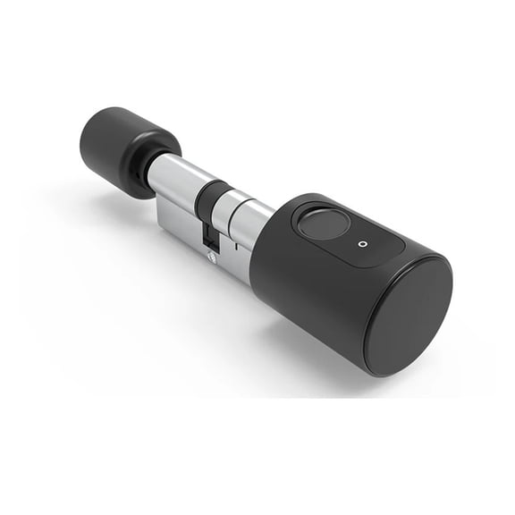 Euro Home Door Smart Lock Cylinder With Tuya Digital IC Card Finrprint Keys Unlock Adjustable Core Electronic Locks