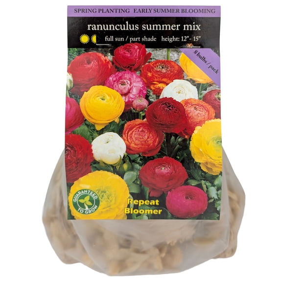 EuroBlooms Mixed Ranunculus Flower Bulbs, Bag of 8, Spring Blooming Bouquet Cut Flower Garden